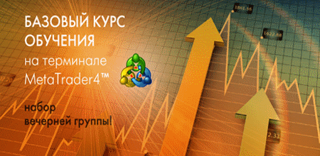 Базовый курс обучения на терминале MetaTrader4 Базовый курс обучения на терминале MetaTrader4